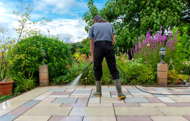 Best Animal Enclosure Cleaning  in Detroit, MI